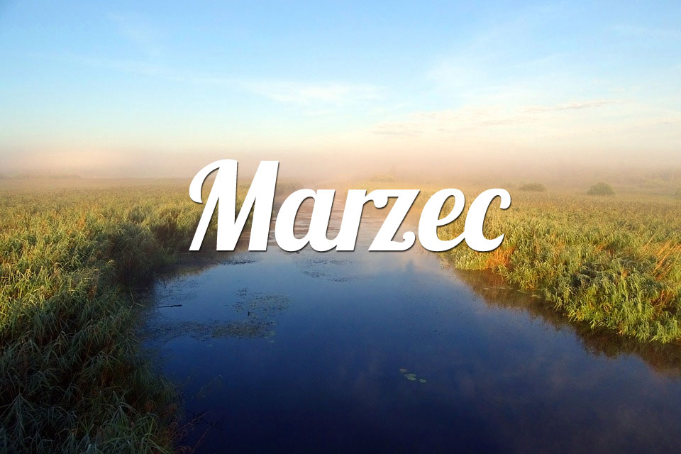 Ryby Marzec 2026